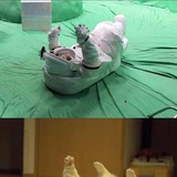 青静