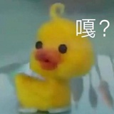 鸭子嘎嘎嘎