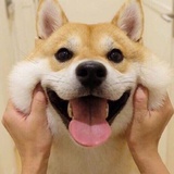 已注销