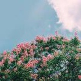 Stay with me