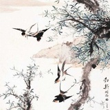 鸿木君