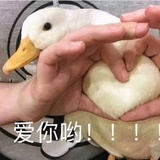 NaiKei