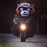 豆友181513918
