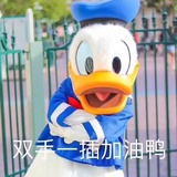双手一插加油呀