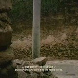 老刘