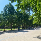 maggieun