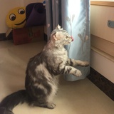 我喜欢你呀