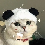 Stacy说