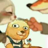 好大一只meow星