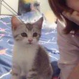 在路上