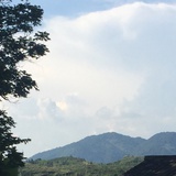 小丫gaga