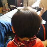 磨叽磨叽莫太太