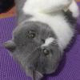 Tina