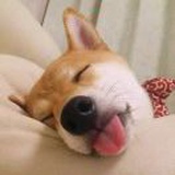 白日梦想家
