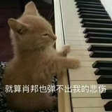 夜晚有三年