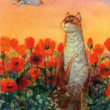 猫老大打菜菜