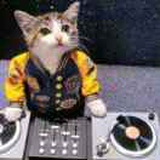 猫老猫