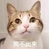 豆友181689788