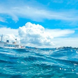 浅尝辄止