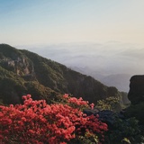 鸦隐