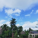 我想飞