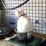 荨歆