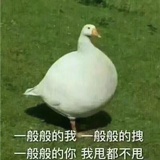 咬咬牙先生