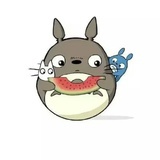 名字还是随意吧