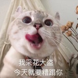 一只喵