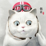 空谷足音1234