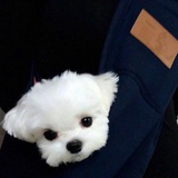 旻渊