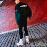 羊