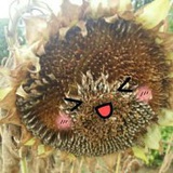 穿不穿是个问题