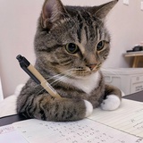 黑椰