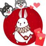 ^江云葵^