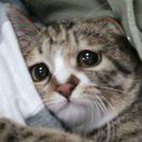 ？