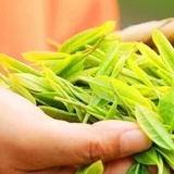 读书旅行茶