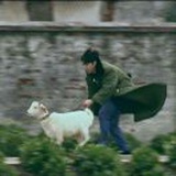 麦丫丫
