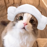 猫耳朵朵朵