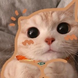 逸兴