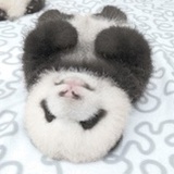 隐士墨客