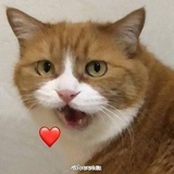 园咕噜球球球