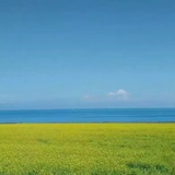 是你的豆豆