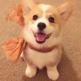 暖暖