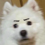 这个就蛮不合理