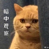 为了作品而来