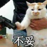 DDD的事业粉