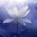 但