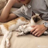 Yee廖廖