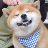 武林第一兔大侠